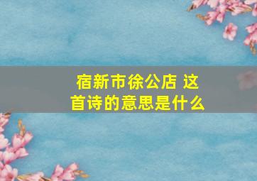 宿新市徐公店 这首诗的意思是什么